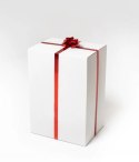 MASKOTKA Pluszak SONIC PRIME Przytulanka 22cm