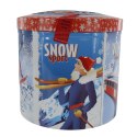 BALOCCO PANETTONE Heloo, Winter włoskie ciasto tort w puszce 750g