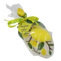 MYDELNICZKA + Mydełko 25g Cytryna Włochy Prezent