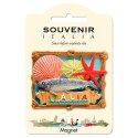 MAGNES miniatura ITALIA SARDYNKA PLAŻA replika 7X5cm Włochy Italia