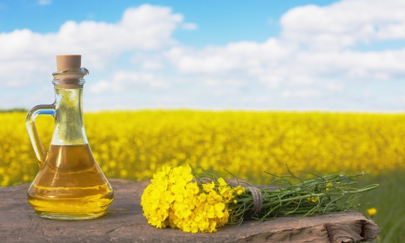 Olej rzepakowy i jego właściwości zdrowotne